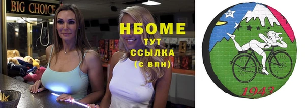 гашик Нея