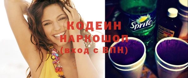 гашик Нея