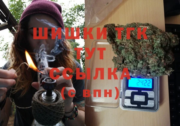 гашик Нея