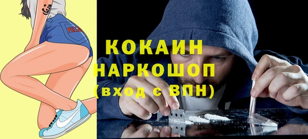 гашик Нея