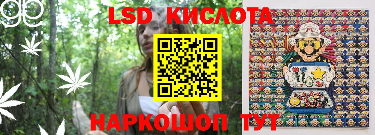 Псилоцибиновые грибы Балабаново