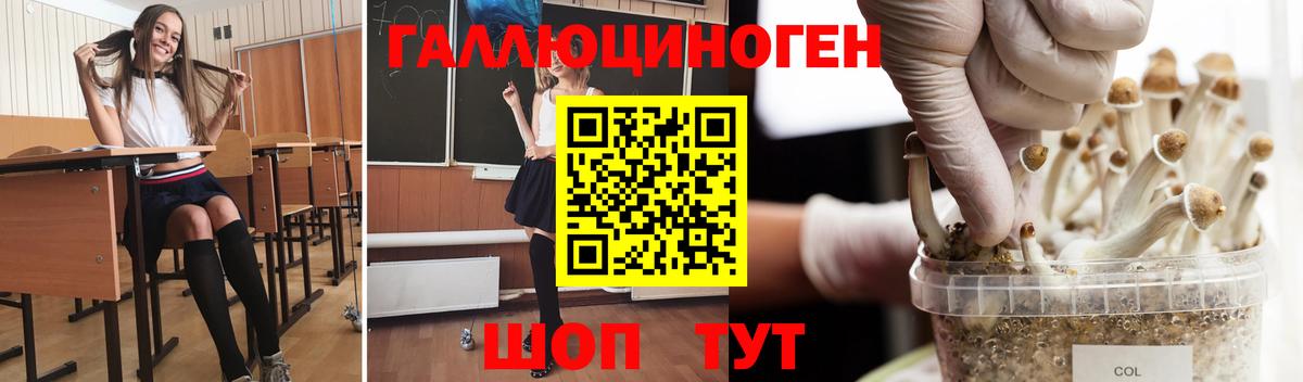 Балабаново  Псилоцибиновые грибы ЛСД  Вход с VPN 